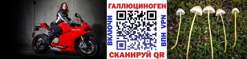 Псилоцибиновые грибы Psilocybine cubensis  Купить закладки  Остров 